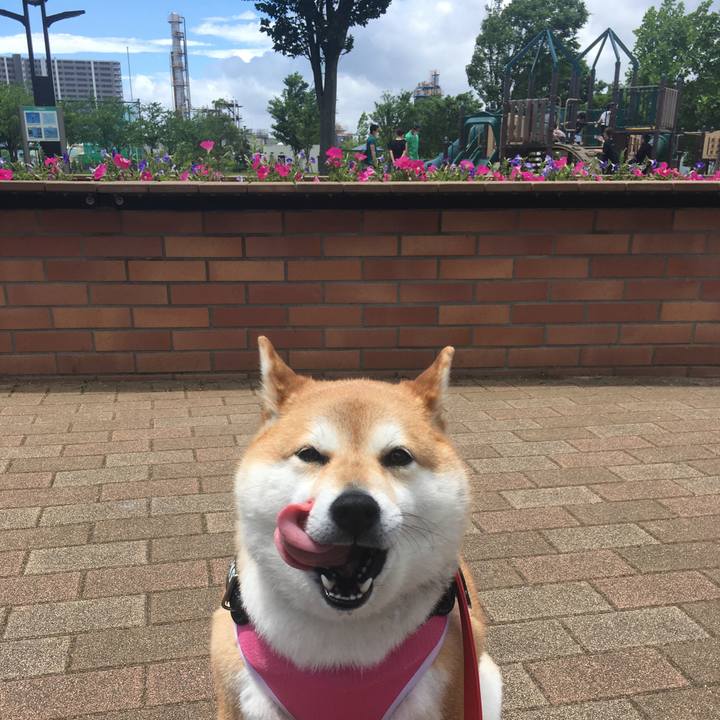 5aa8e7fb 6029 4ff8 83b9 60466b713430 1591847522412