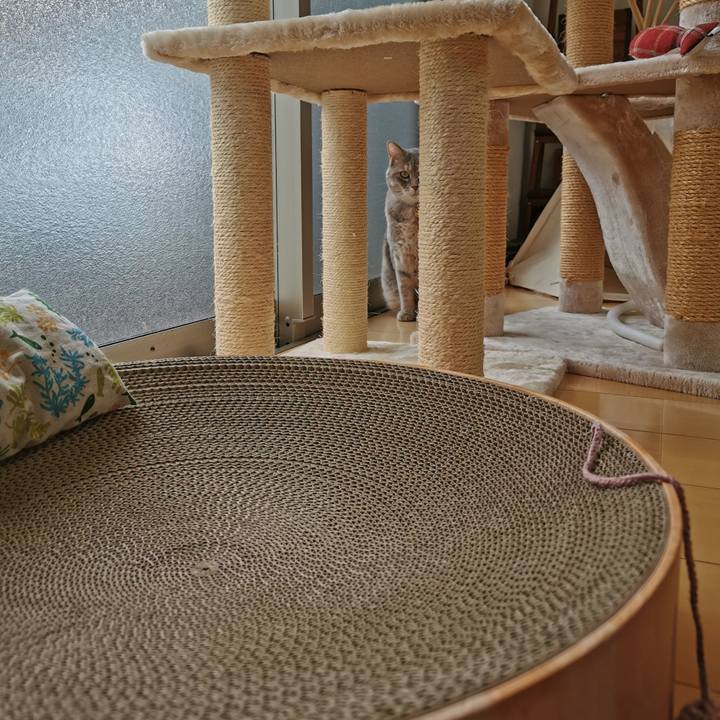 5aa8f133 a73a 48be b5ba 2032a6b43a45 1629343987556