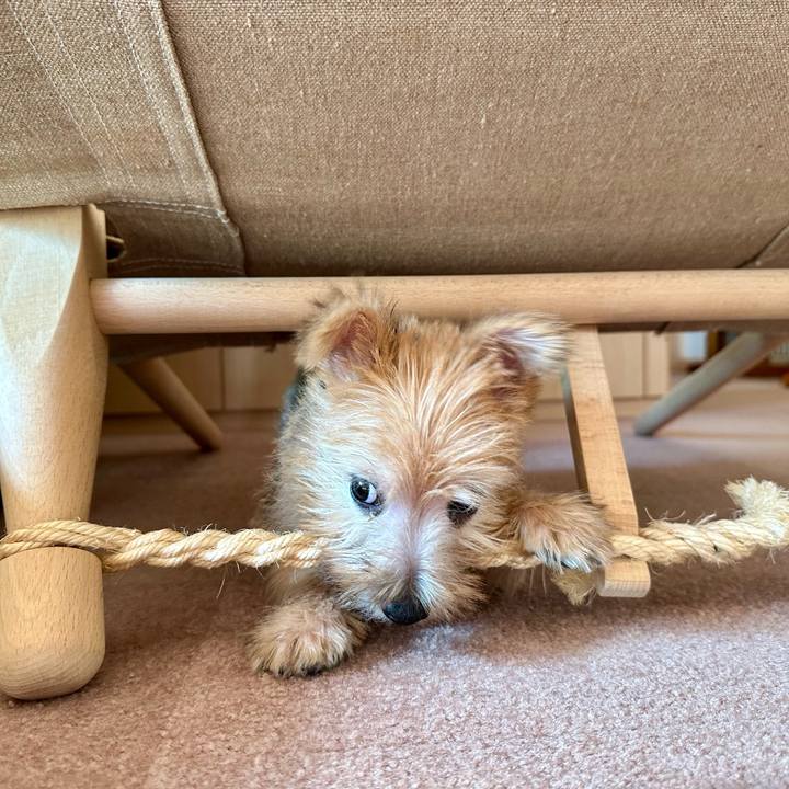 5aa9129f 3df6 4083 90af cb500355a4eb 1701062155630