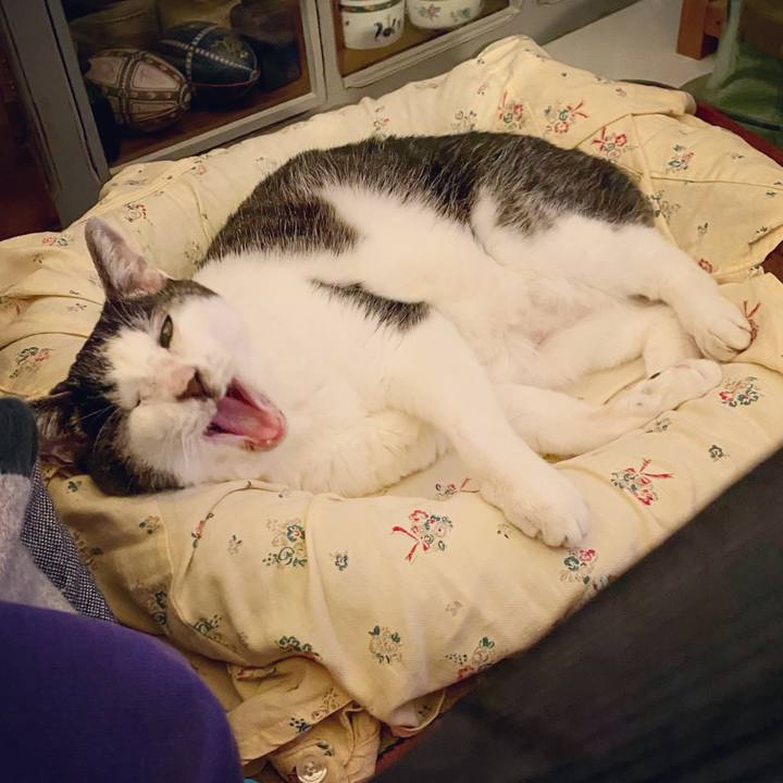 5aa92e3d 0ad8 4202 bcb7 def18641b9d8 1607780141194