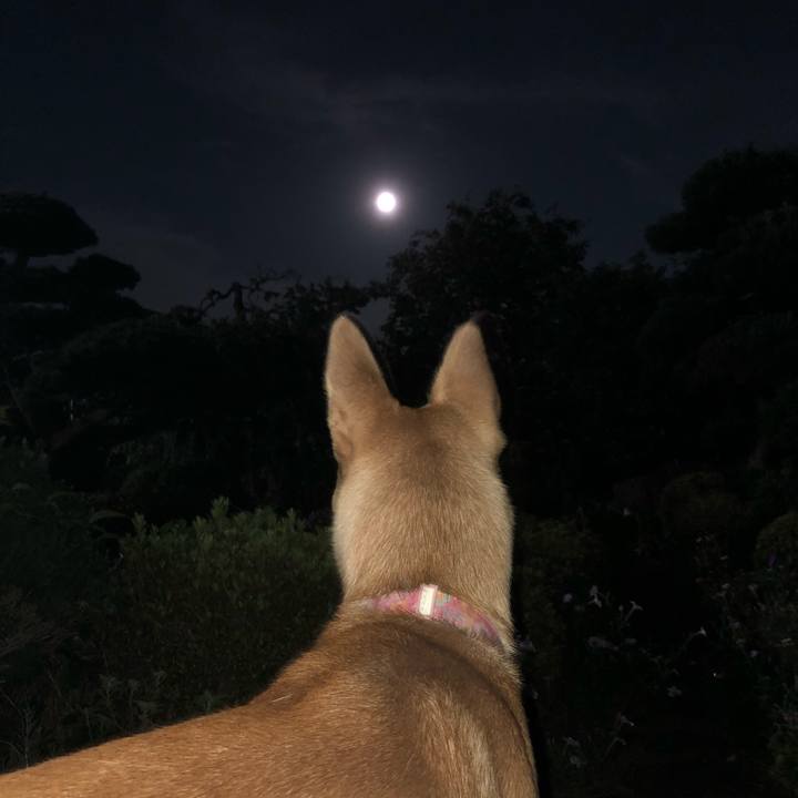 5aa94861 8ff5 483b 8287 0ca3b5909e00 1535282343677