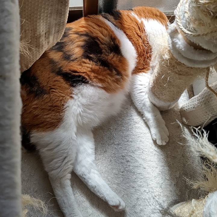 5aa94c6c 69de 482d b907 1d4252759d9f 1604112149384