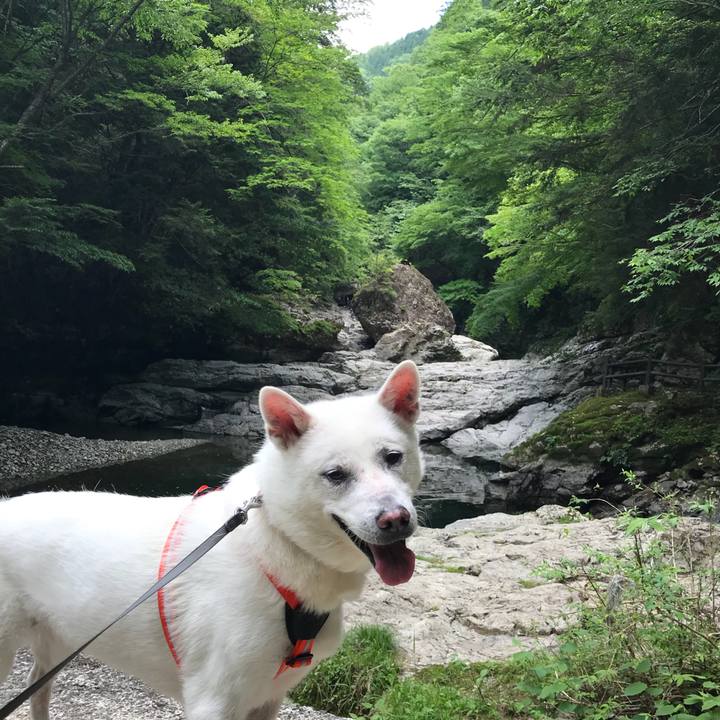 5aa97c2a 4ba2 4f2a adac b68fb83ca71b 1528030600347