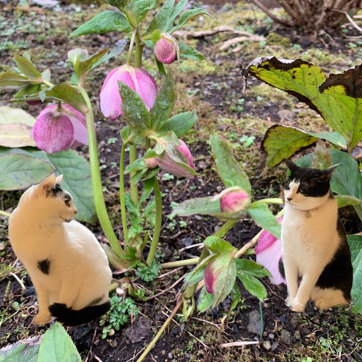 5aa97f0e 64bb 4a4d b364 cb00946197ce 1713568645989