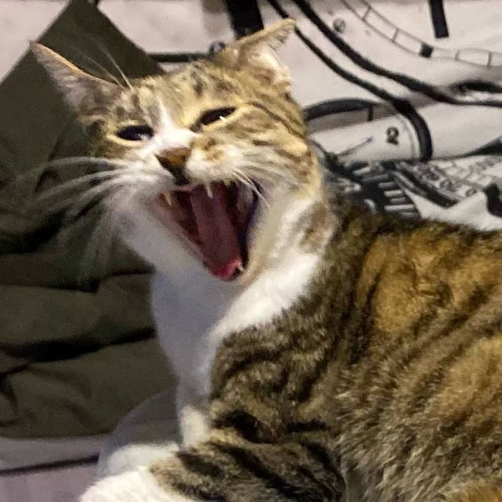 5aa9c5ce 5f4a 46d0 8e33 59a78b95fa5b 1627069172863