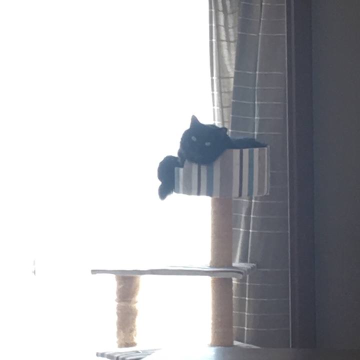 5aa9e263 bbe2 46c2 8ef7 e5ee89f48791 1569656150198