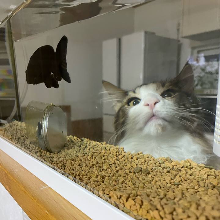 5aa9e74e acd1 4d20 a19b 2d4c60283fbf 1640290843867