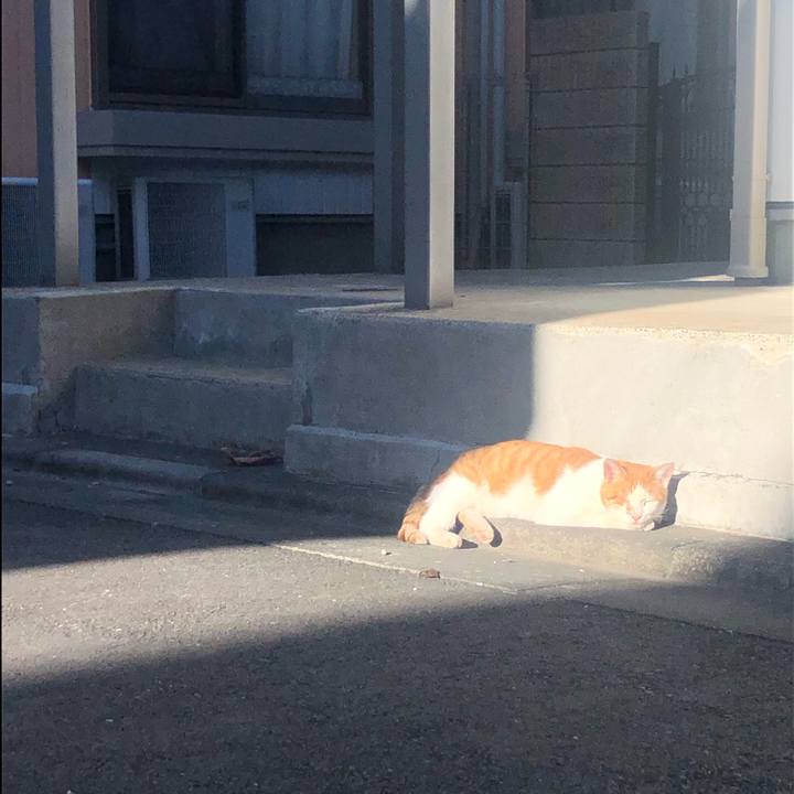 5aaa0b54 95bb 4d64 b4c7 9cee445306f2 1572726804146