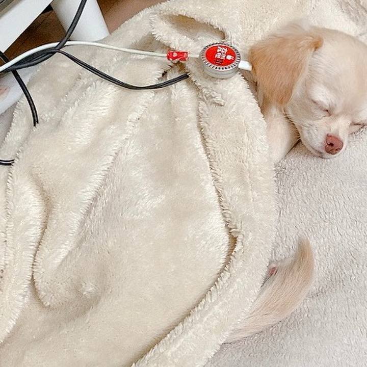 5aaa147a 09cc 4eec be8f 75f98d06d735 1600902825950