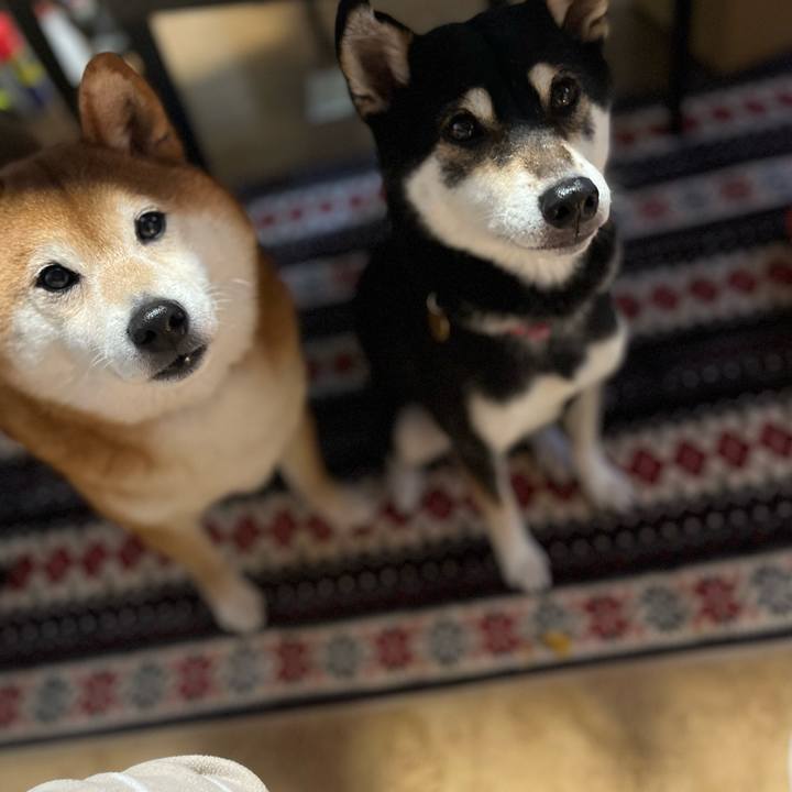 5aaa4596 ffce 4970 8553 9fd13c62e7da 1643036290493