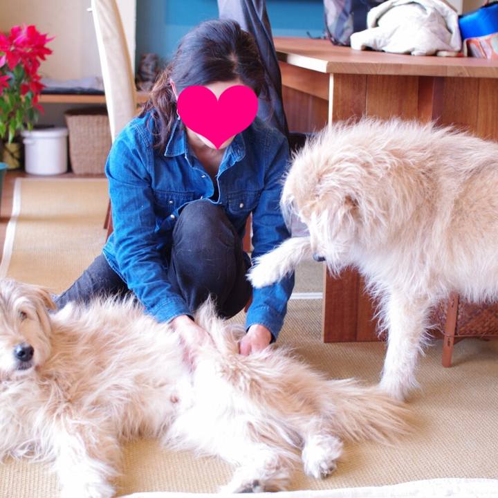 5aaa710a daed 4702 947f 7114d25e559f 1554044850576