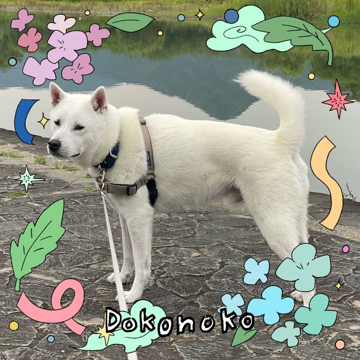 5aaac589 9a69 49ef 870e 5571b8f67b93 1717635228659