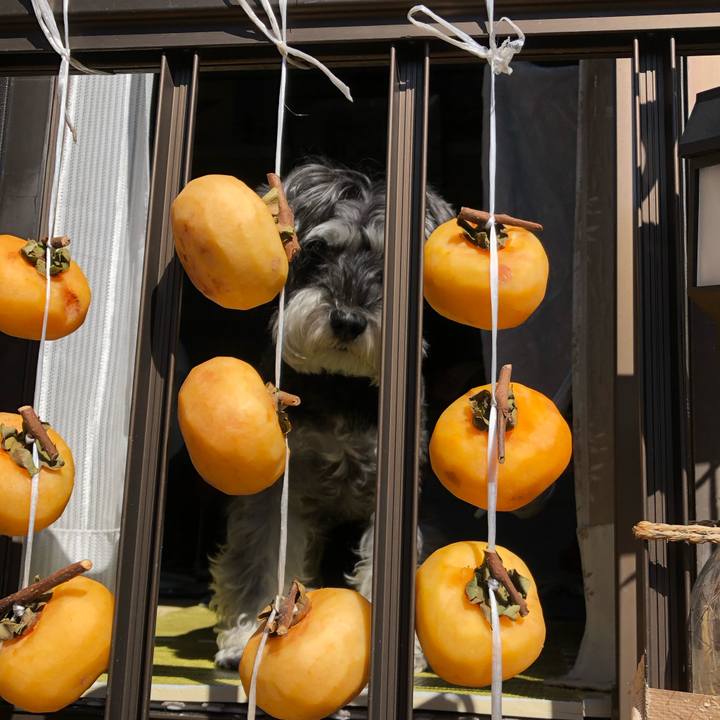 5aaae448 74e5 40fc 8ef1 bbabb51a5edb 1665892633610