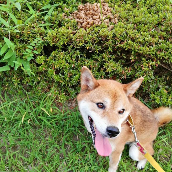 5aab0714 6459 416d 95ad d543d4ccc1c4 1597362249709