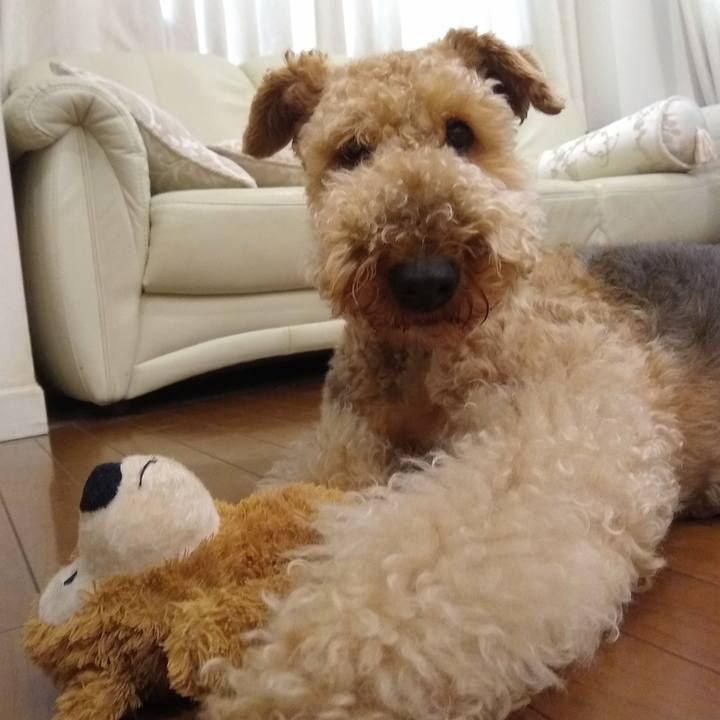 5aab077a 817c 42d5 a729 aa2a772a4c2f 1590576461227