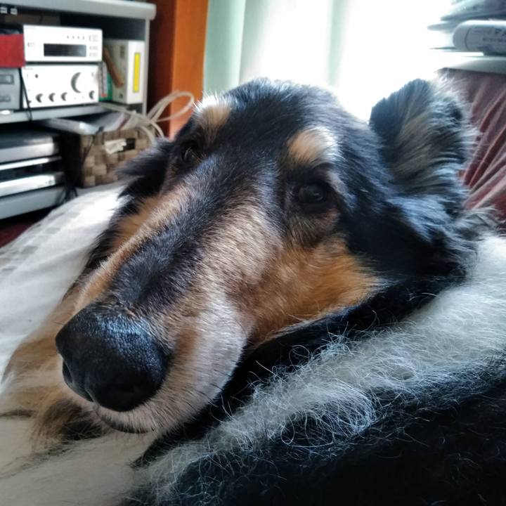 5aab1422 3d42 41e3 80ac 39068771ac78 1557840721968