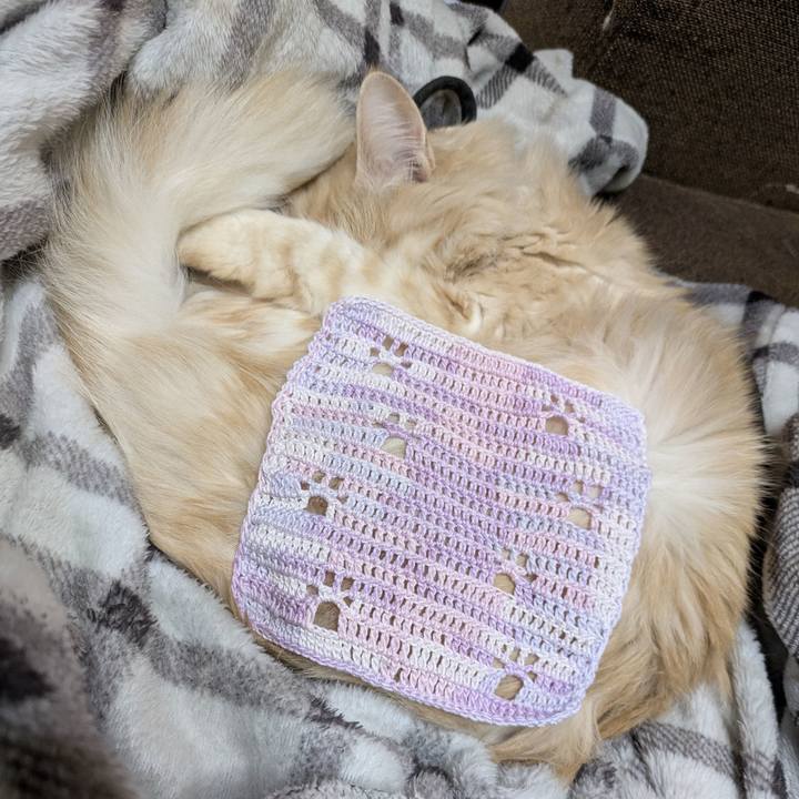 5aab1af3 49c5 4658 a44a 2a77456ea3d4 1768321282820