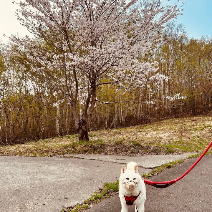 5aab7ef9 7130 47b9 b498 de5ddc4bd9e3 1714429482290