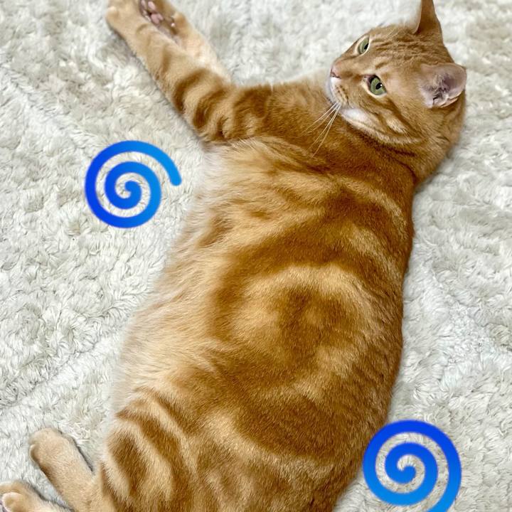 5aab8db2 5b50 4b49 bcee 064ee48e9732 1723851582513