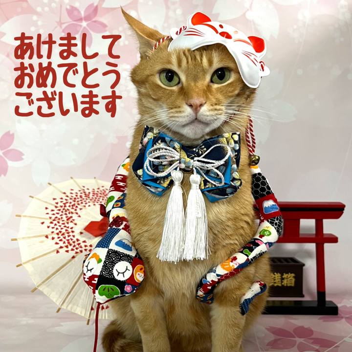 5aaba469 8f4d 417c a6e6 371fba55ccb7 1735708089283