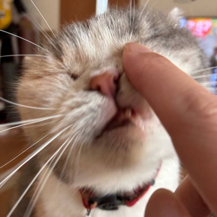 5aabb673 483a 4296 981b a66d2364af0d 1759110251138