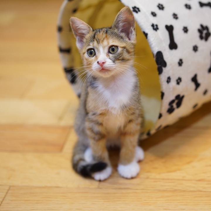 5aabc982 54a2 40ad 9b50 17b4e6b1a5ec 1567607851277