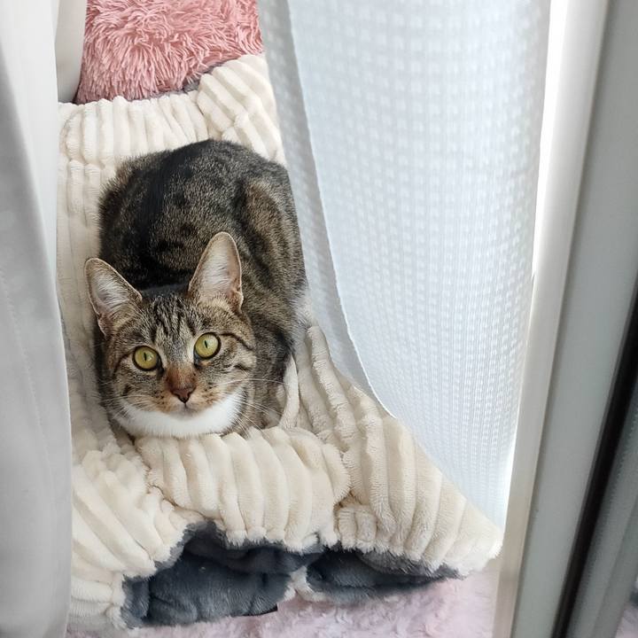 5aabd4e0 19f3 4813 afb5 274377ef4249 1675580047873