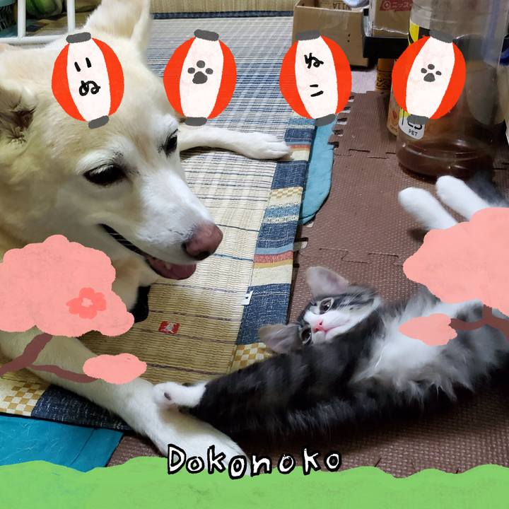 5aabe9e8 83a5 49e8 a2f5 d9c7d5b9dead 1712719313593