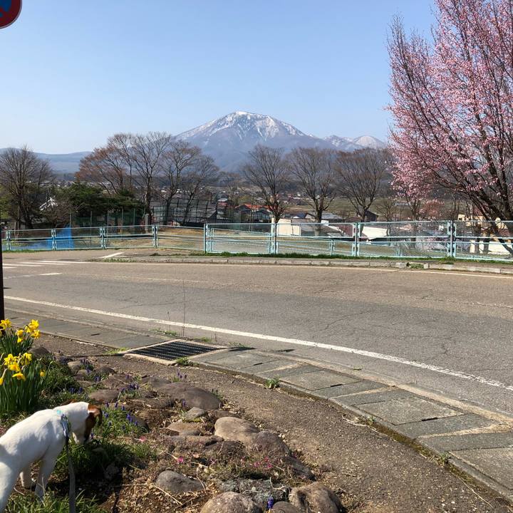 5aac0bd8 b0d9 4669 9176 ca7d5fc8a48d 1524142394797