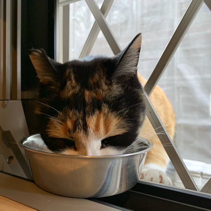 5aac1c35 5c23 41a1 b8f9 ae5c63a7fd25 1546221819455