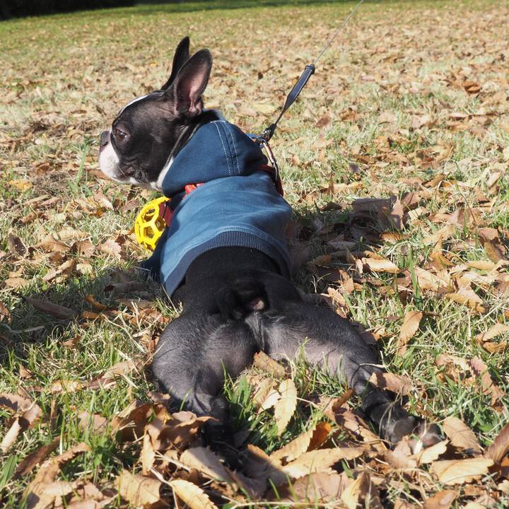 5aac8c3a 2487 4b5f 8636 6d41e61363f4 1575176254908