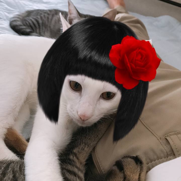 5aac95b2 5737 4d87 9dc0 c0d2a7d9d095 1569193481058