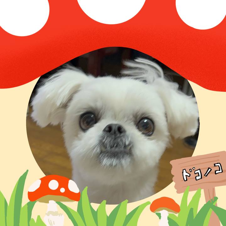 5aacba24 ccca 4083 9998 ab5a8c400f5c 1729518455203