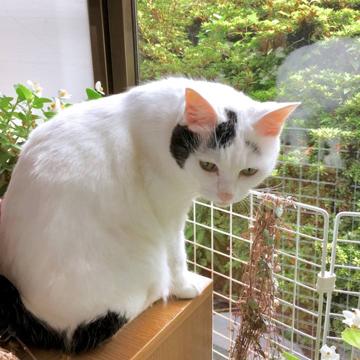 5aacd985 aba0 4d42 9778 ad00c90ce35b 1570794616869