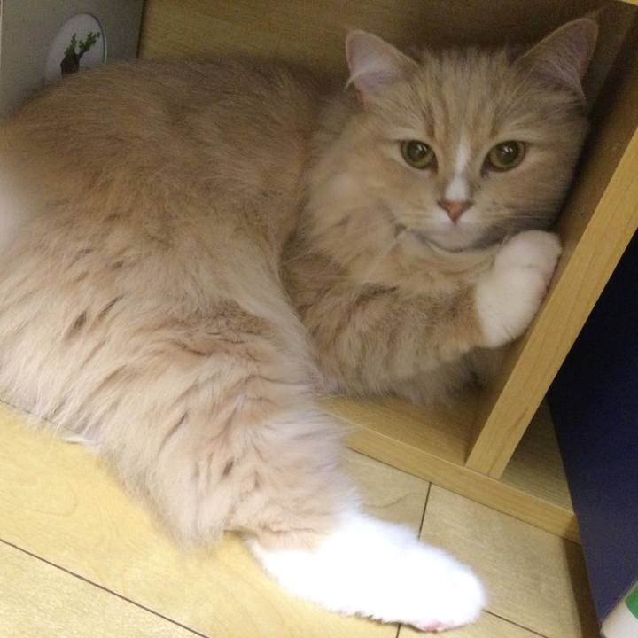 5aacdf6d 6b2d 45c5 967e b89c859e3ad5 1653144031461