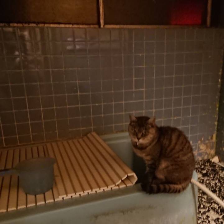 5aace8df 4e43 4ced 88ee b5e03ebe0bc8 1572338833791