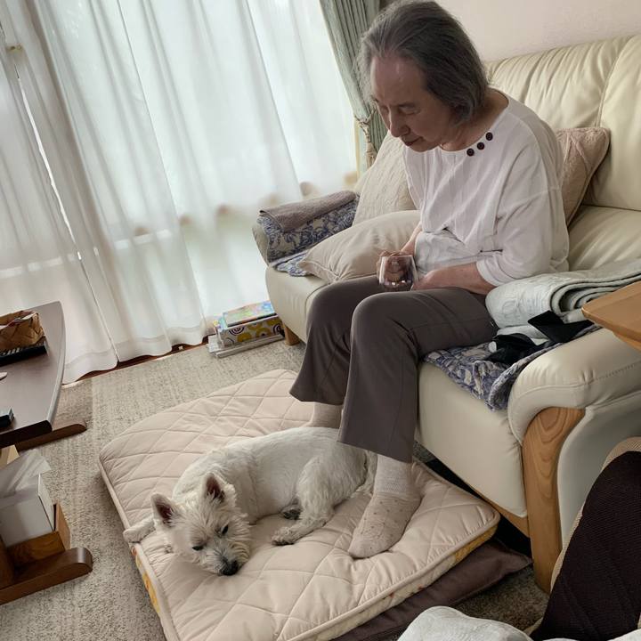 5aacf84a 7632 424f b2d5 029f95281fae 1655989303245