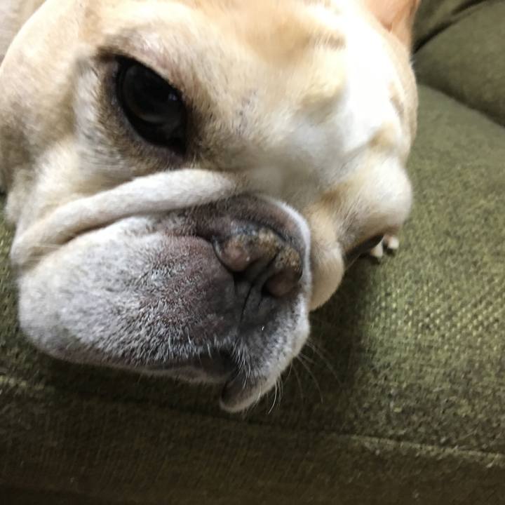 5aacfe70 d665 408d 98c7 0cfc00e52fdb 1514298250858