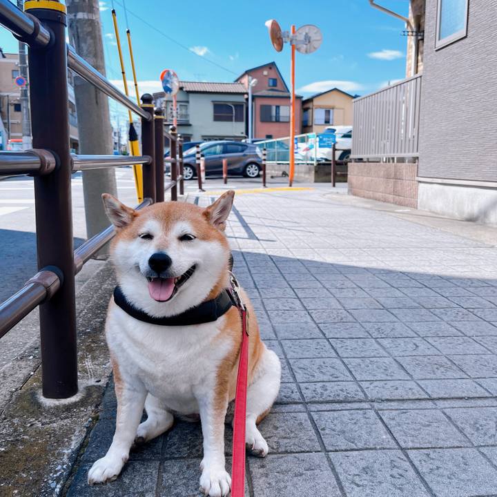 5aad00df d217 43bc 8cb5 b9b4ebc1592d 1697770017125