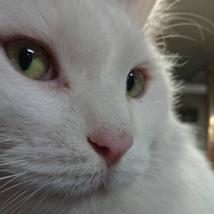 5aad26c5 f4d0 4888 a3ed ae5aae1f2309 1543184802363