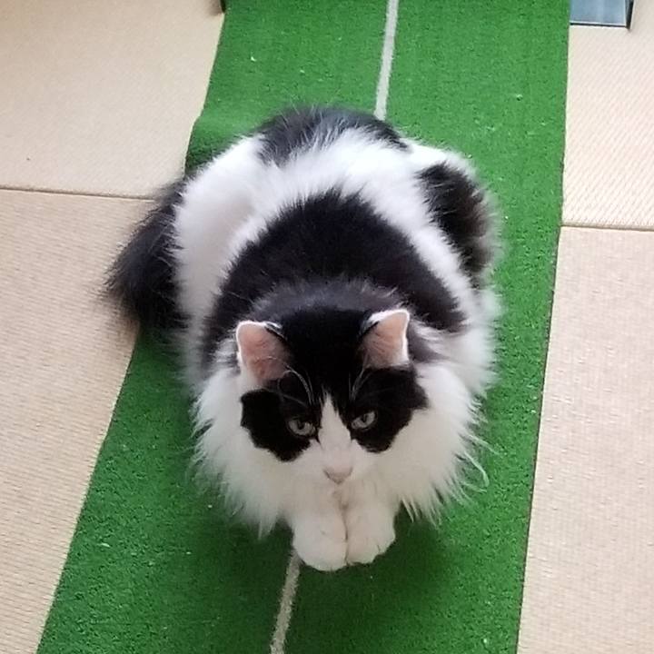 5aad5d04 3178 4e93 9026 38e5e3baf82d 1562104980645