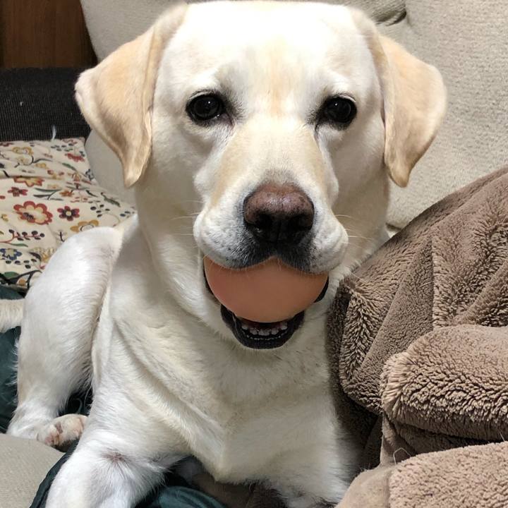 5aad6033 9998 4166 9fbe 063f01d2bc07 1635721839820