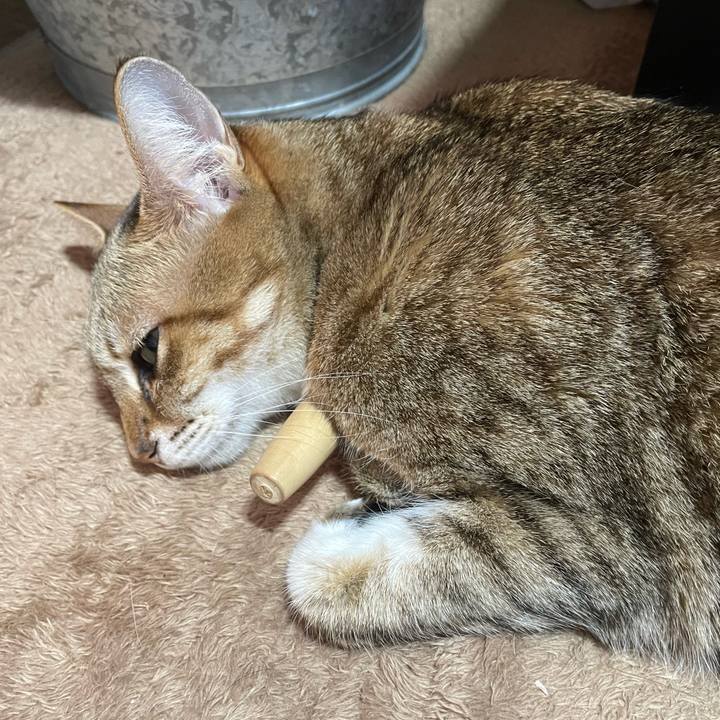 5aad8757 7f5d 423a 9299 245ad4cefdec 1674791360760