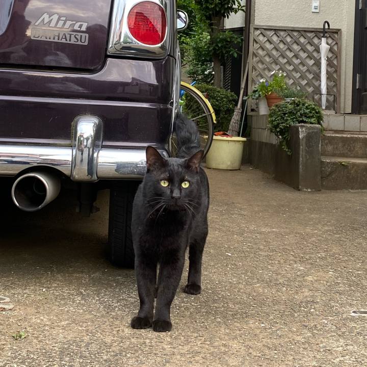 5aada969 3701 48a3 8dd4 355019c099da 1623497170605