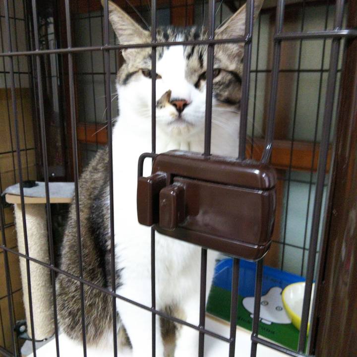 5aadc610 da47 4f10 88e6 a9da038b314d 1641471685599