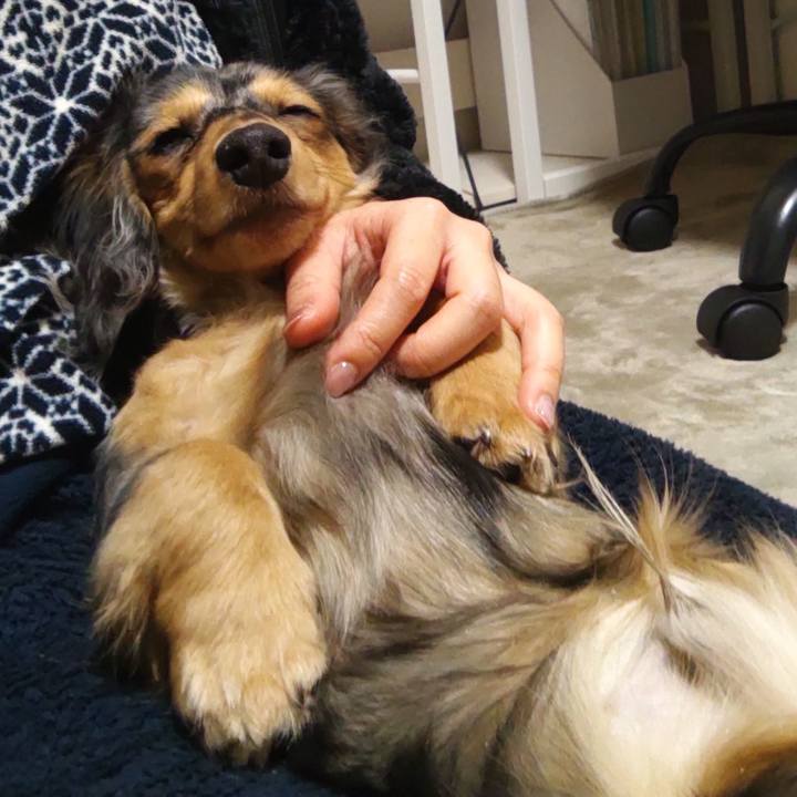 5aae06d1 7fa6 404d b054 5c4cd857381d 1706875451249