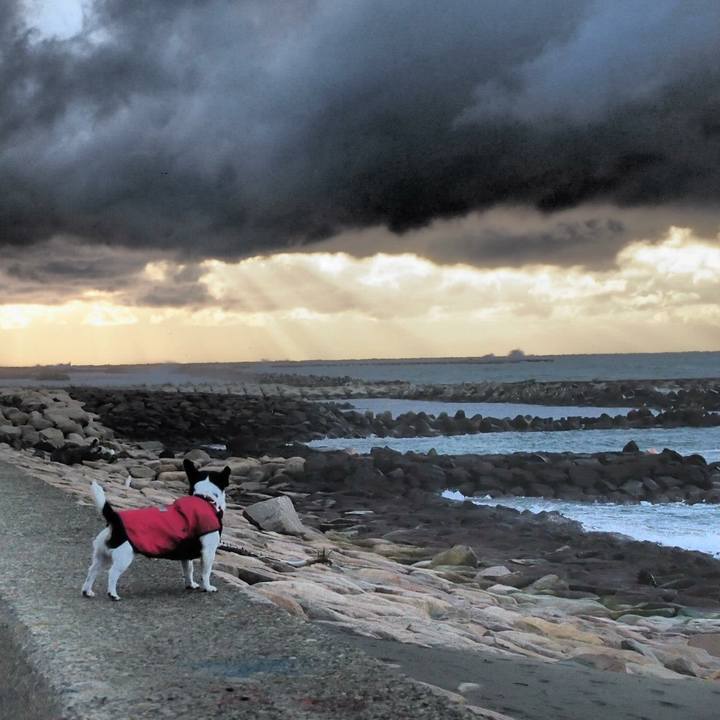 5aae3f5d 269b 49e0 b618 9a9c2002a404 1516248272213