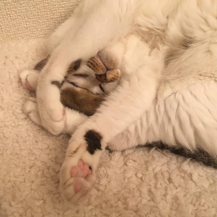 5aae4716 0afc 445b 9c0a 1c38115459ae 1606827924613