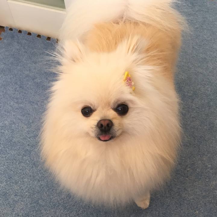 5aae54fd df21 4fdf 8682 5a662151bf26 1524371392062