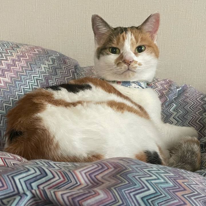 5aae8e18 1f3b 4a6d a786 cbf582559846 1730244713819